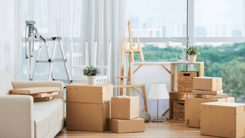 bridge suspended on cables são paulo architecture preview.jpg (13)